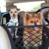 Pet Car Net Petition