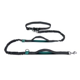 Multifunctional Running Reflective Double Telescopic Dog Leash Dog Chain Lead Rope (Option: Aqua Green4210)