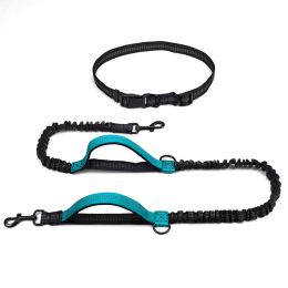 Multifunctional Running Reflective Double Telescopic Dog Leash Dog Chain Lead Rope (Option: Water Green4211)