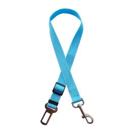 Car Pet Dog Safety Belt Leash Hand Holding Rope Retractable (Option: Sky Blue-25x750mM Long)