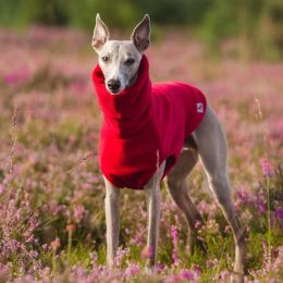 Winter Polar Fleece High Collar Soft Italian Greyhound Whippet Dog Clothing (Option: Red-XL)