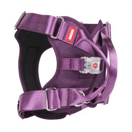 LED Luminous Chest Strap Explosion Proof (Option: Purple-L)