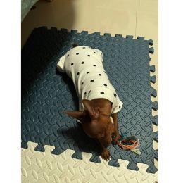 New Style Pet Four Foot Bottomed Household Clothes (Option: White-M)