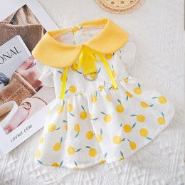 Thin Breathable Princess Skirt Small Dog Pet Clothing (Option: Lemon Skirt-L)