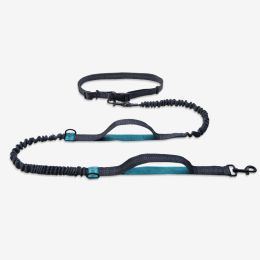 Multifunctional Running Reflective Double Telescopic Dog Leash Dog Chain Lead Rope (Option: D Aqua Green4210)