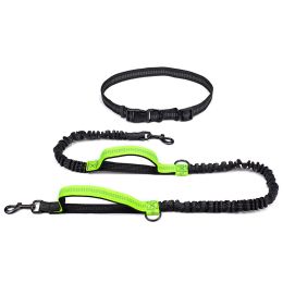 Multifunctional Running Reflective Double Telescopic Dog Leash Dog Chain Lead Rope (Option: Fluorescent Green4211)